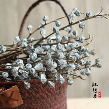 狂想者【尤加利果】森系干花真花干枝特白尤加利桉果家居室内装饰