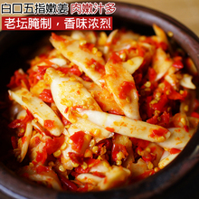 四川泡菜酸辣腌生姜片泡椒仔姜腌制500g袋装 嫩姜泡姜 第二份半价
