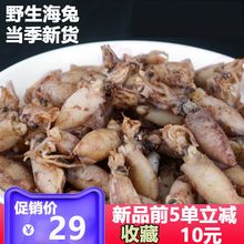 海兔干带籽小海免海免干500g小鱿鱼仔干干乌贼笔管鱼满籽海鲜干货