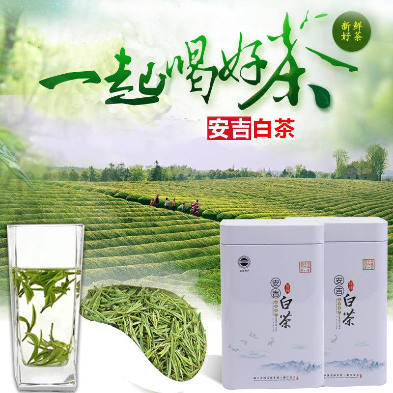 直销特级礼盒装珍稀正宗高山茶叶春禄安吉白茶新茶绿茶2017