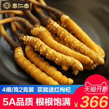 秦仁堂玉树冬虫夏草4条/克野生冬虫草那曲礼盒东正品2克8根西藏