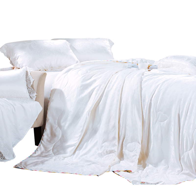 ʥ֮����˿����842000200