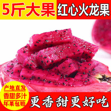 现货红心火龙果5斤当季新鲜金都红肉火龙果整箱约5斤水果批发包邮