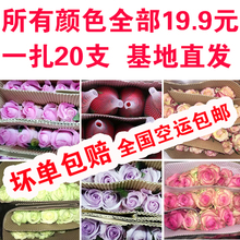 红玫瑰花束家庭办公室插花速递批发 云南昆明基地新鲜玫瑰鲜花