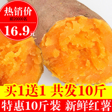 买1送1发10斤 沙地板栗薯小香薯现挖地瓜新鲜农家烤红薯番薯 批发