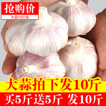 买1送1共发10斤 2018年干大蒜 低价包邮 紫皮干蒜批发 蒜湿瓣蒜子