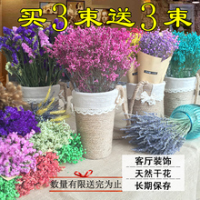 干花花束家居摆设小清新天然勿忘我真花客厅ins装饰永生花满天星
