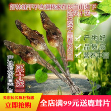 干雪蛤干长白山雪蛤林蛙干 蛤蟆油哈士蟆 买5送一东北正宗新品