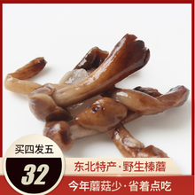 黑龙江19年东北特产牡丹江野生腌制榛蘑菇新鲜采摘小鸡炖蘑菇专用