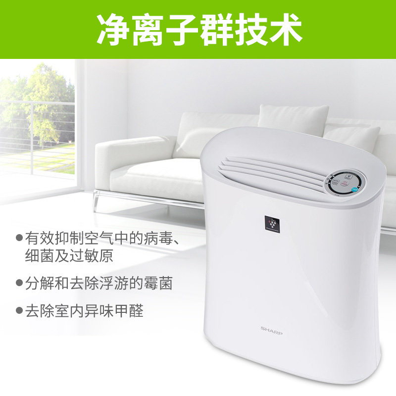 ���տ��������� FP-F30E-A