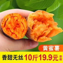 包邮 红薯 新鲜蜜薯10斤带箱农家香薯板栗地瓜糖心山芋5小番薯紫薯
