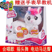 ZURU电臀羊驼扭屁股电动儿童毛绒玩具BOPPI PETS ALIVE唱歌跳舞
