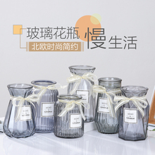 创意花瓶摆件欧式家居玻璃花瓶客厅透明绿萝水培植物富贵竹插花瓶