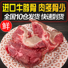 原切牛排家庭牛脊骨生肉牛脖子牛大骨 新鲜进口牛脖骨500g
