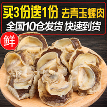 新鲜玉螺肉250g/份 深海海鲜冷冻贝类水产较大鲍螺肉海螺肉