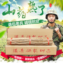 现挖新鲜五斤装 河南焦作山约温县铁棍山药河南铁杆淮山怀山正宗