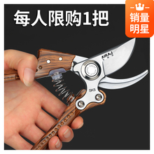 修枝果树修剪树枝园艺剪枝剪刀花艺工具修花粗枝园林家用大力剪子