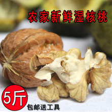 包邮 农家新鲜湿核桃陕西薄皮嫩胡桃去青皮野生老树孕妇坚果 栗园村