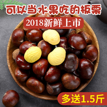 5斤装 2018神农架新鲜板栗生栗子农家现摘毛栗子油栗生板栗实发4.