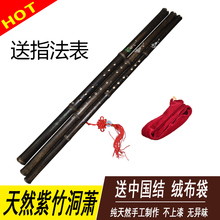 民族乐器 初级紫竹洞箫 六孔萧 洞萧 八孔箫G调F调紫竹箫笛子