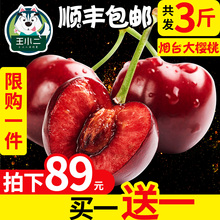 买1送1 包邮 山东烟台大樱桃车厘子新鲜水果 美早当季采摘车里子