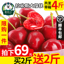 买1送1 包邮 山东烟台拉宾斯大樱桃新鲜水果 车厘子里子带箱4斤