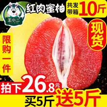 【买1送1】福建平和管溪蜜柚红心柚子红肉新鲜水果当季整带箱10斤