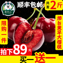 山东烟台大樱桃新鲜水果 当季应车厘子2斤5车里子10 包邮 买1送1