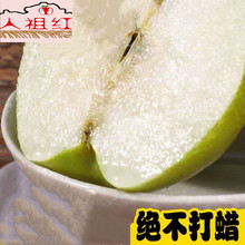 山西隰县玉露香梨