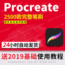 笔刷 马克笔 完整版ipad画板水墨水彩 软件 文字 procreate笔刷