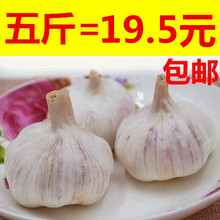 包邮 2018年现货新鲜干大蒜5斤大蒜头紫白皮大蒜非金乡非独头大蒜