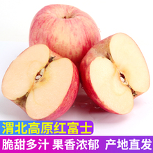 陕西咸阳特产渭北山地苹果礼泉红富士吃的苹果新鲜水果5斤约10个