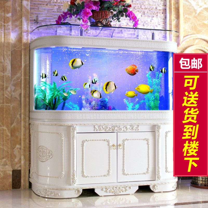 走进厦门水族批发的世界