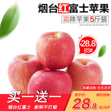 包邮 山东烟台水果苹果栖霞红富士农家新鲜吃 5斤 冰糖心苹果整箱