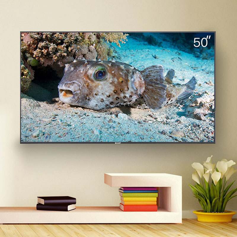 ����ƽ����ӻ� XLED-50SU480A