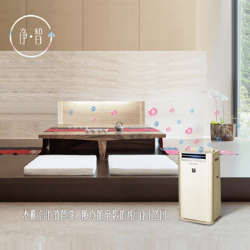 ���տ��������� KC-GG30-N