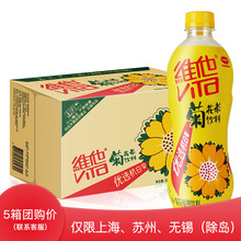 维他菊花茶500ml*24瓶 整箱 菊花植物饮料 多省包邮