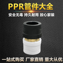 PPR转PE水管配件管件接头PE变PPR20 32转换接头直通活接直接