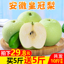 包邮 安徽砀山梨皇冠梨带箱10斤梨子新鲜当季水果酥香梨 买1送1