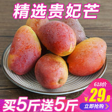 海南贵妃芒果新鲜当季水果红金龙中果批发 整箱10斤 包邮 甘福园