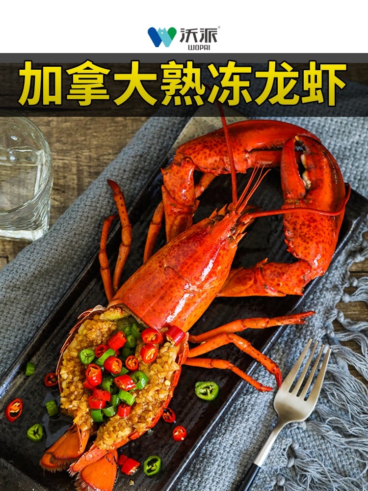 澳龙波士顿龙虾,波士顿龙虾澳洲龙虾,波龙澳龙红龙青龙(第3页)_大山谷图库