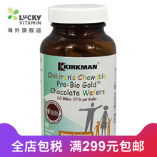 咀嚼锭 儿童咀嚼亲生物黄金锭巧克力 Kirkman