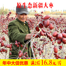 特价优惠新疆大枣南疆红枣未洗未加工纯天然骏枣500g原生态和田枣