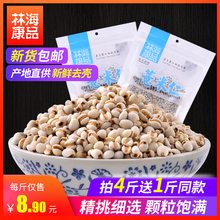 新货农家自产小薏米薏仁贵州薏米仁薏仁米薏苡仁五谷杂粮500g