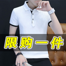 @赛潘安男士短袖T恤男polo衫男短袖2019夏季新款男生纯棉翻领修身