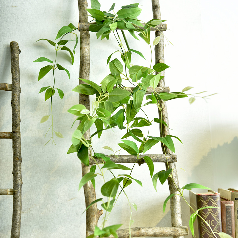 ɭ�˱�ŷľ���ֹ�С¥��