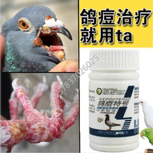 养鸽专用信鸽观赏鸽肉鸽药夏秋季预和治鸽痘养鸽用具鸽子用品鸽逗