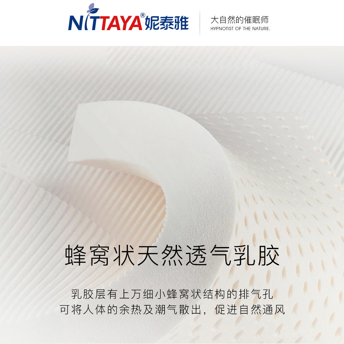 nittaya̩��������Ȼ�齺����NCR001