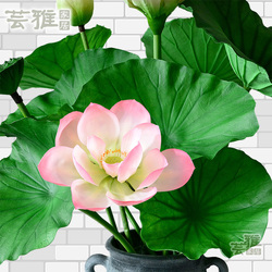 带杆仿真荷花装饰防水过胶手感水池鱼塘舞台造景景观拍摄假荷叶