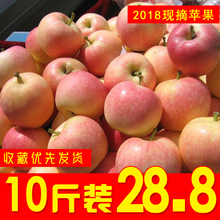 苹果水果10斤批发 包邮新鲜糖心当季 整箱现摘应季非冰糖心红富士